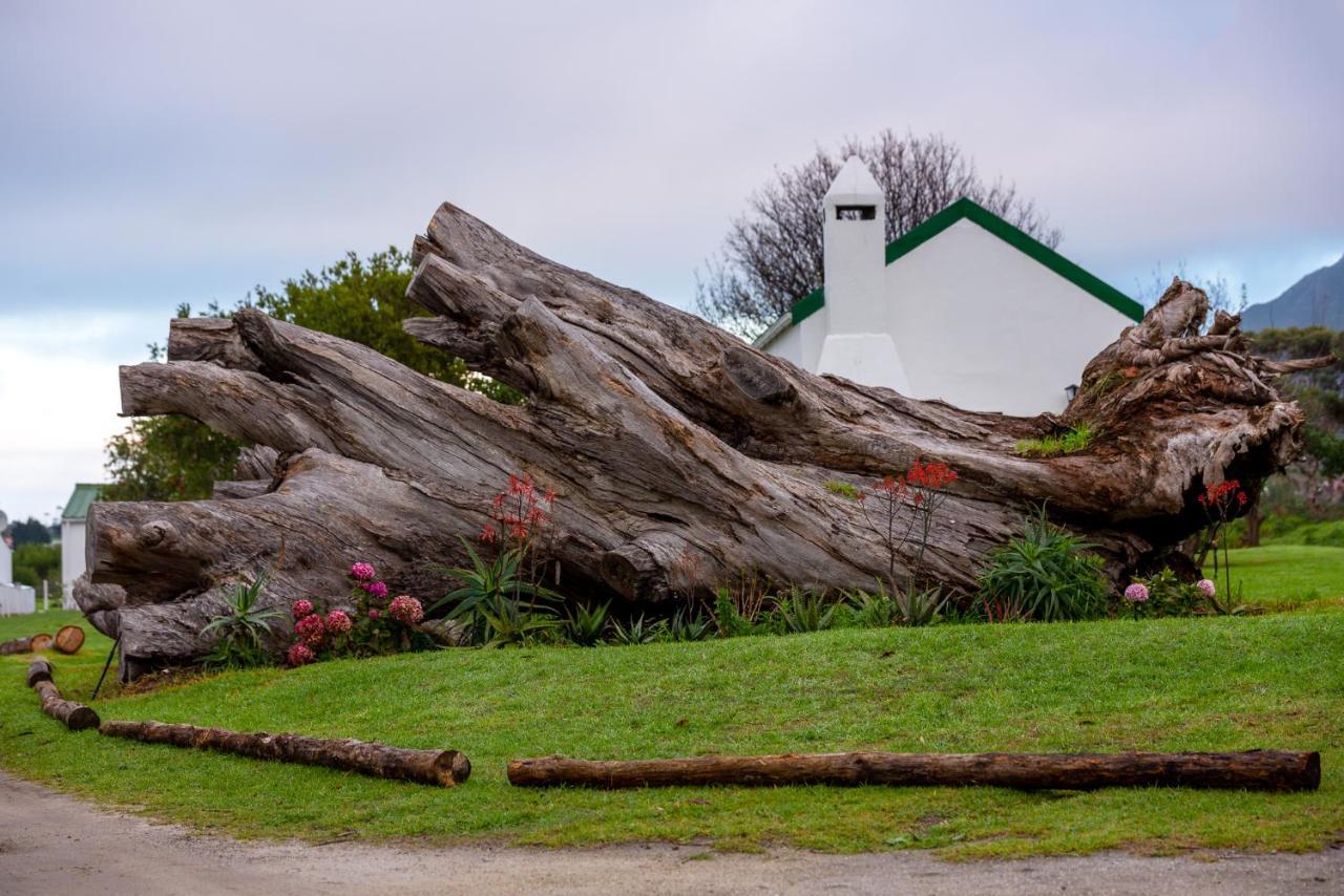 Honeyrock Cottages Kleinmond Eksteriør bilde